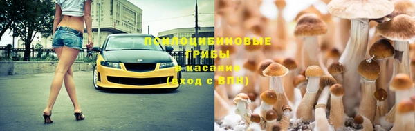 соль ск Абдулино